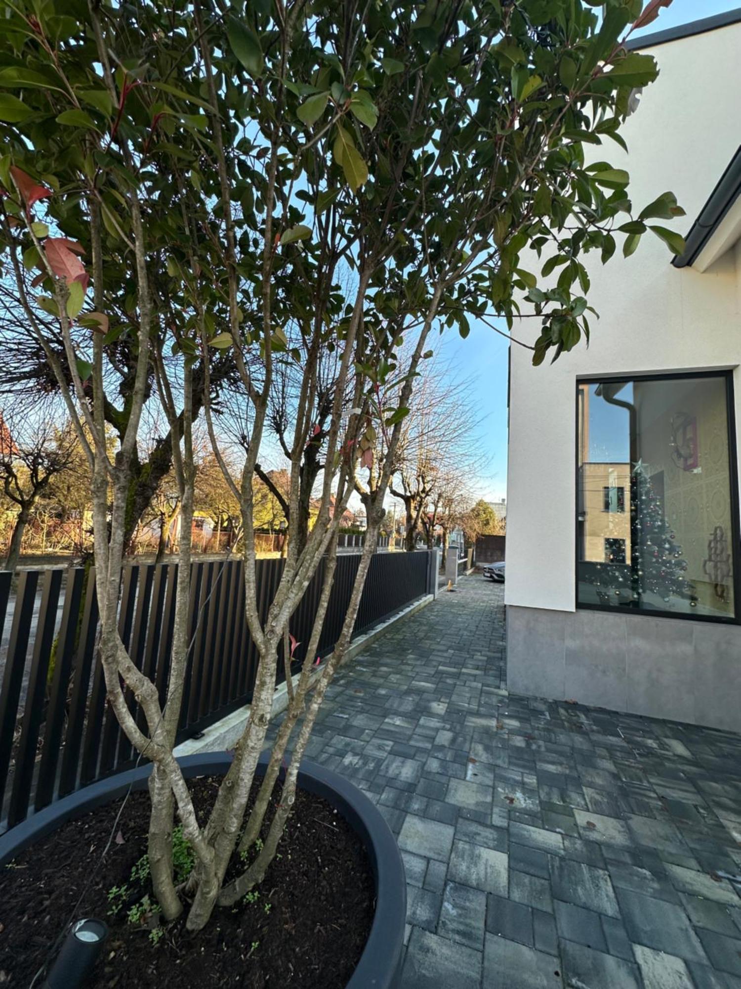Villa Mala Praha Experience In The Center Of 日利纳 外观 照片