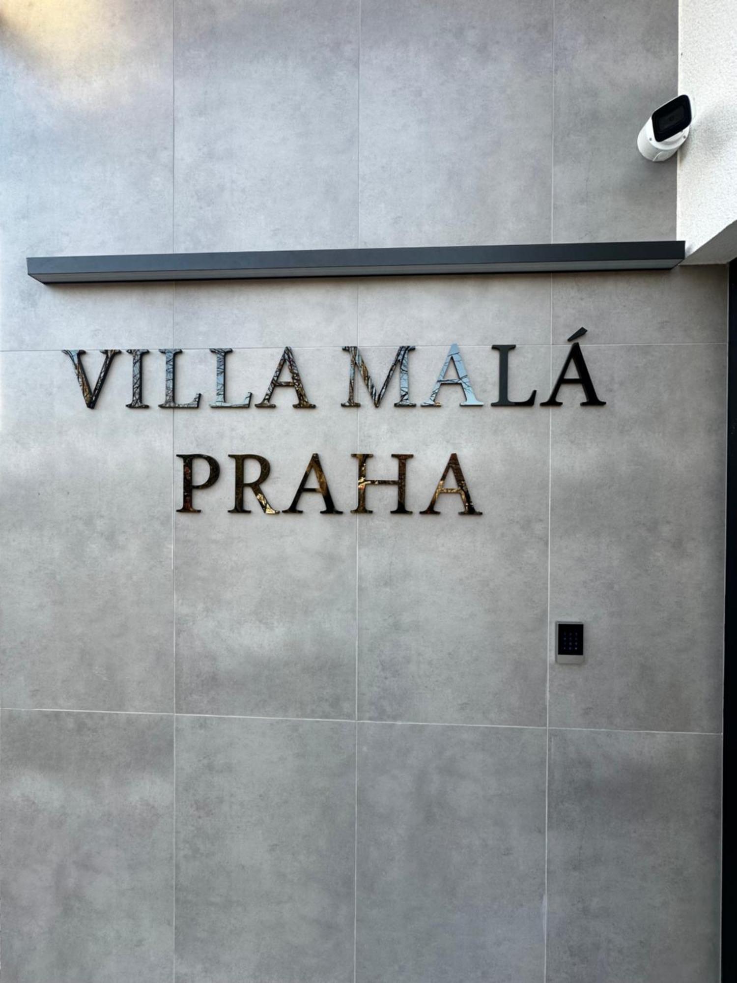 Villa Mala Praha Experience In The Center Of 日利纳 外观 照片